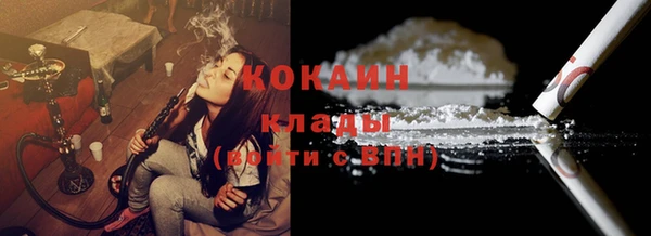 ECSTASY Алзамай