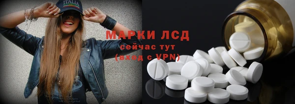 ECSTASY Алзамай