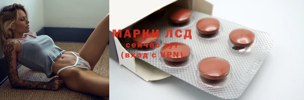 ECSTASY Алзамай
