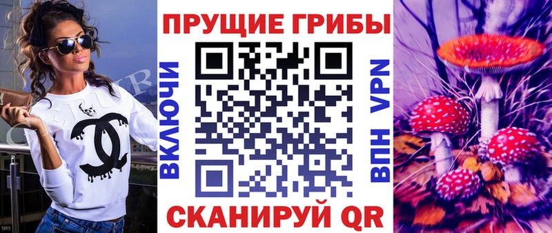 закладки  Нижние Серги  Псилоцибиновые грибы Cubensis 